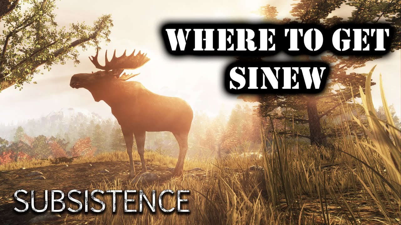 Where to get Sinew in Subsistence
