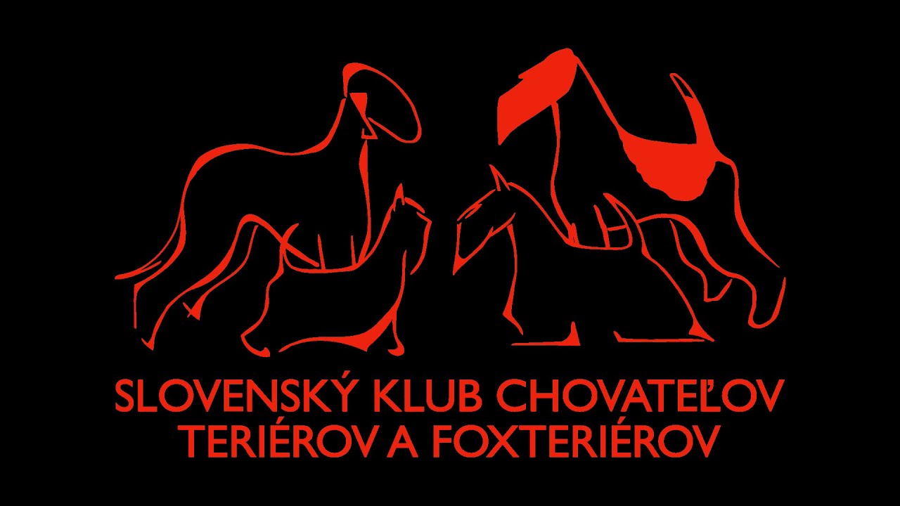 TERRIER CLUB SHOW 2025 Nitra