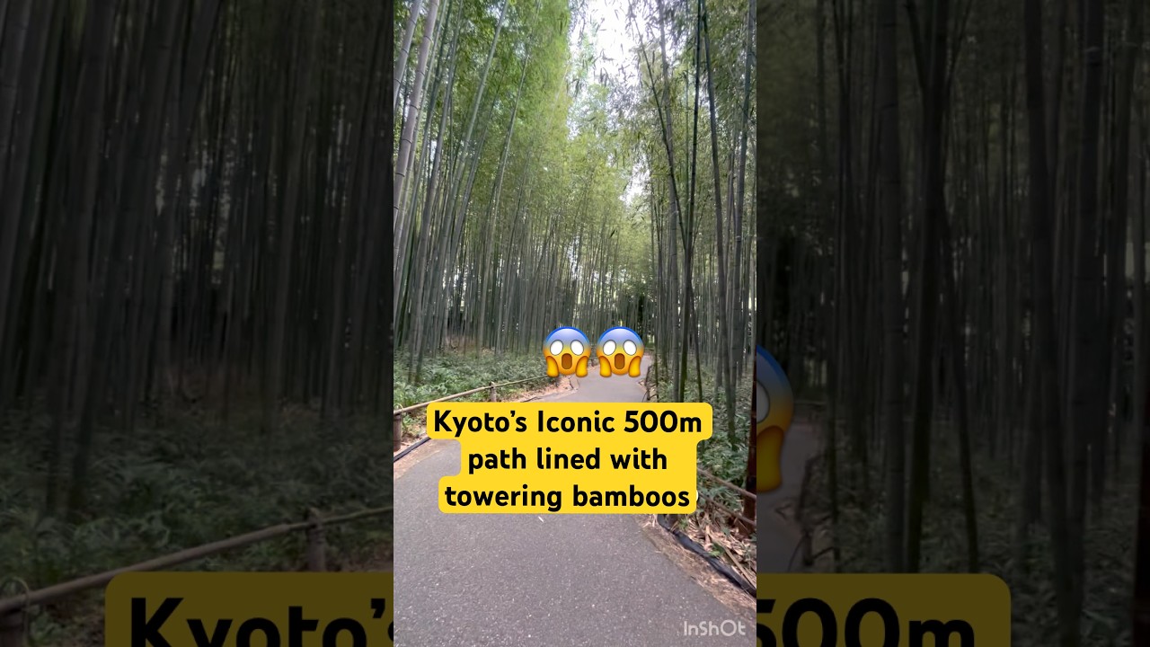 Nature’s Green Tunnel in Kyoto 🌿 Arashiyama Bamboo Forest 