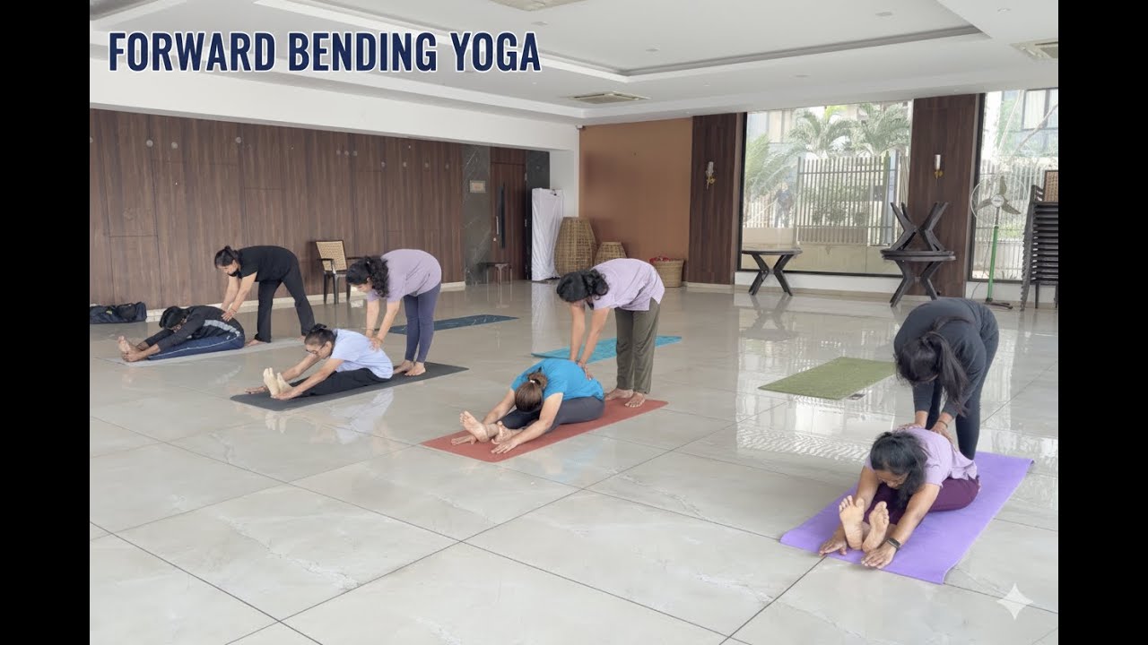 Forward Bending Yoga Class | Stretch Hamstrings, Spine & Back | Yoga for Flexibility & Stress Relief