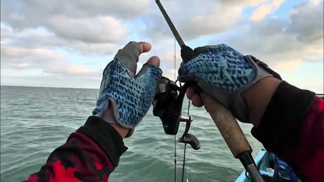 Pesca en el Mezquital 1ro de noviembre  curvinas , truchas y robalos 