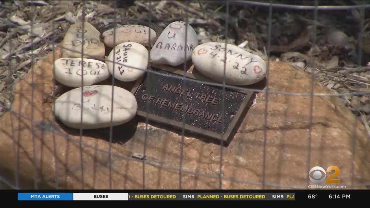 L.I. grandmother helps grieving families coping with overdose deaths