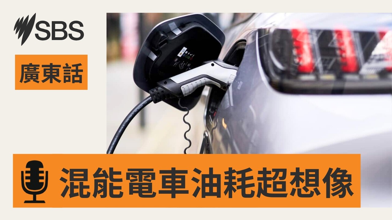 【慳油神話破滅？】數據：插電混能車實際油耗高出逾三倍 | SBS Cantonese - SBS廣東話節目