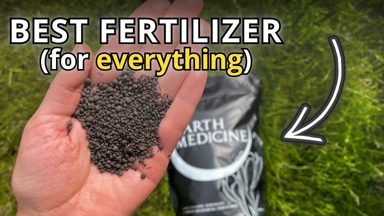 The Only Fertilizer You’ll Ever Need: Safe, Simple, and Works on Every Plant