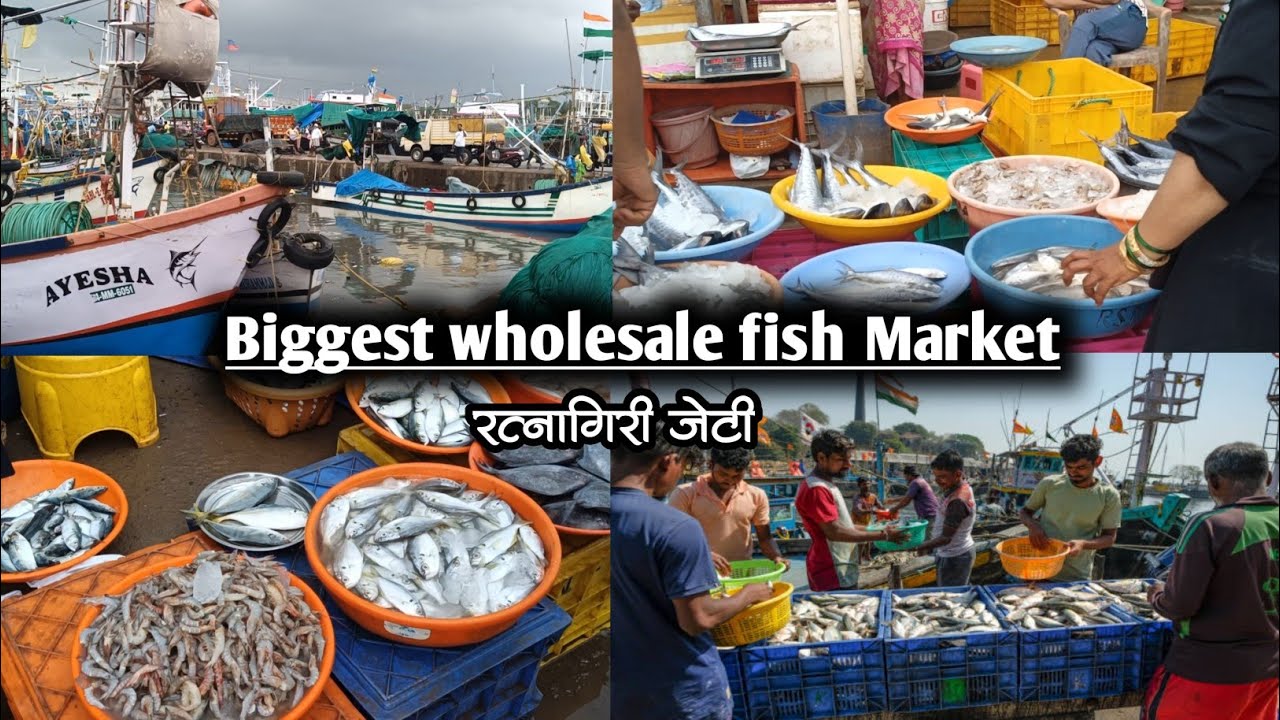 Ratnagiri Fish Market | मिरकरवाडा जेटी मासळी बाजार | Ratnagiri jetty