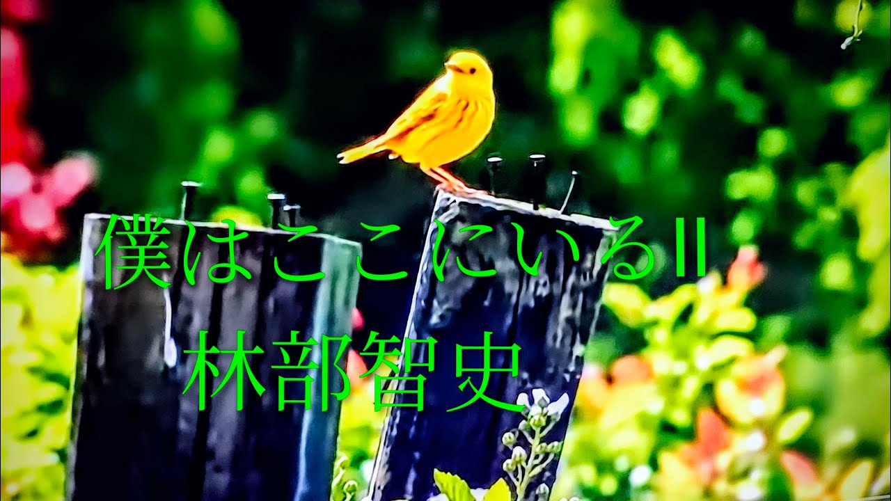 #僕はここにいるⅡ 