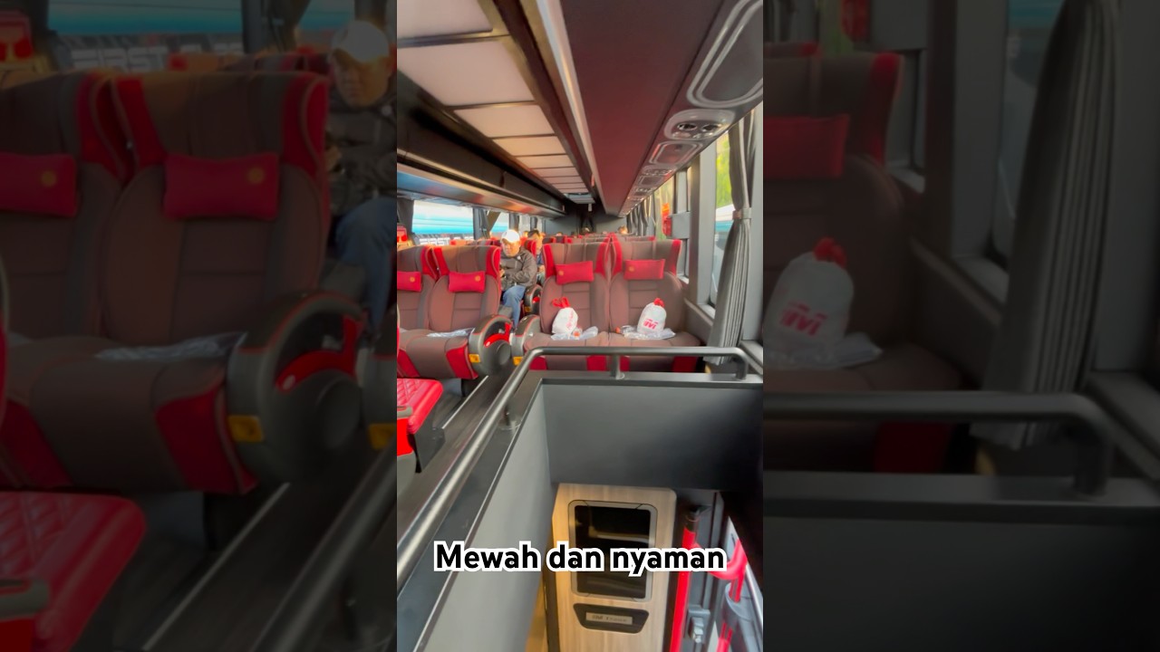 Intip interior bus terbaru Mtrans #busmewah #busmania #mtrans #shorts