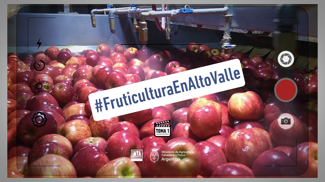 #Toma1 | Fruticultura en Alto Valle
