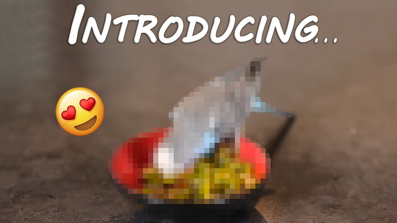 INTRODUCING...
