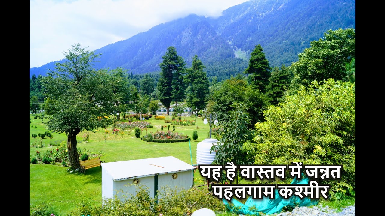 देश की सबसे खूबसूरत हिल स्टेशन बेताब वैली पहलगाम कश्मीर (प्रकृति प्रेमिओ के लिए  जन्नत है यह स्थान)