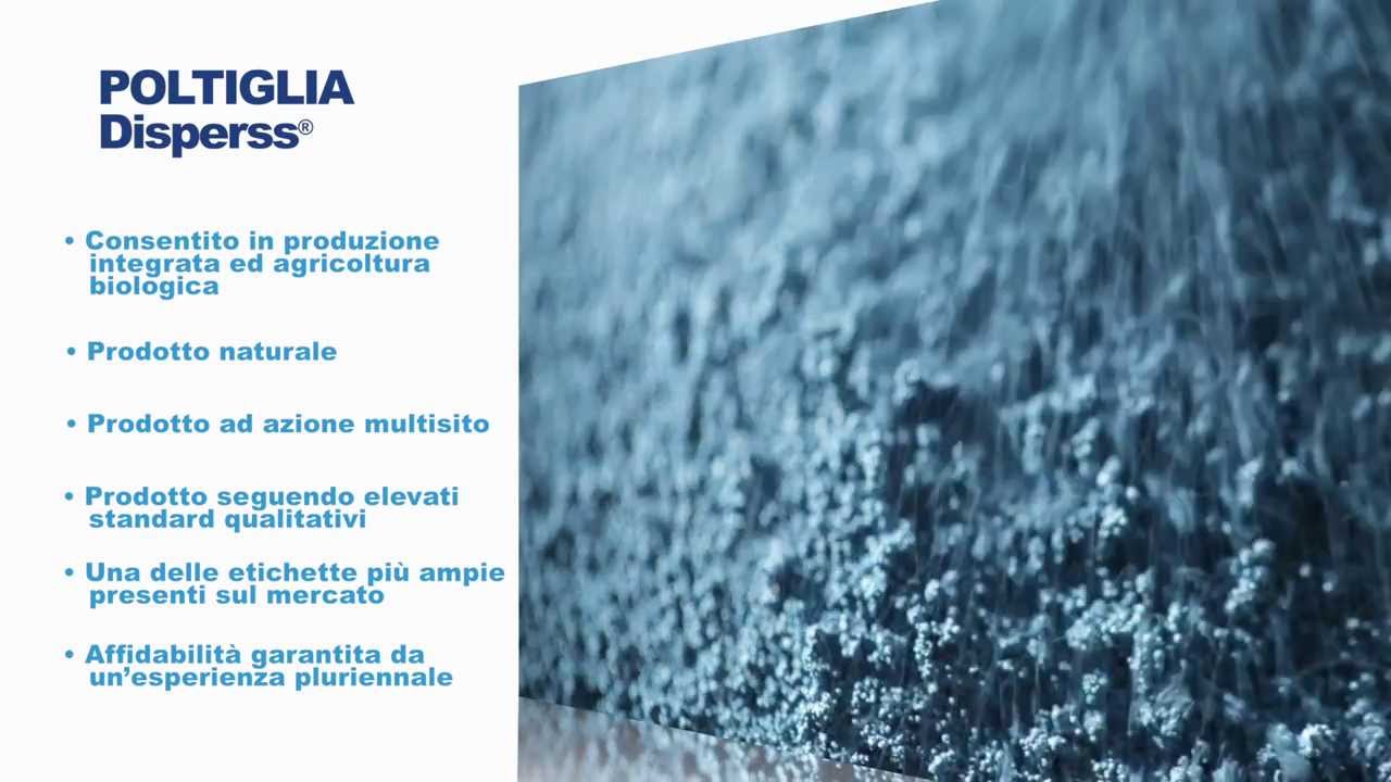 Test dispersione Poltiglia DISPERSS