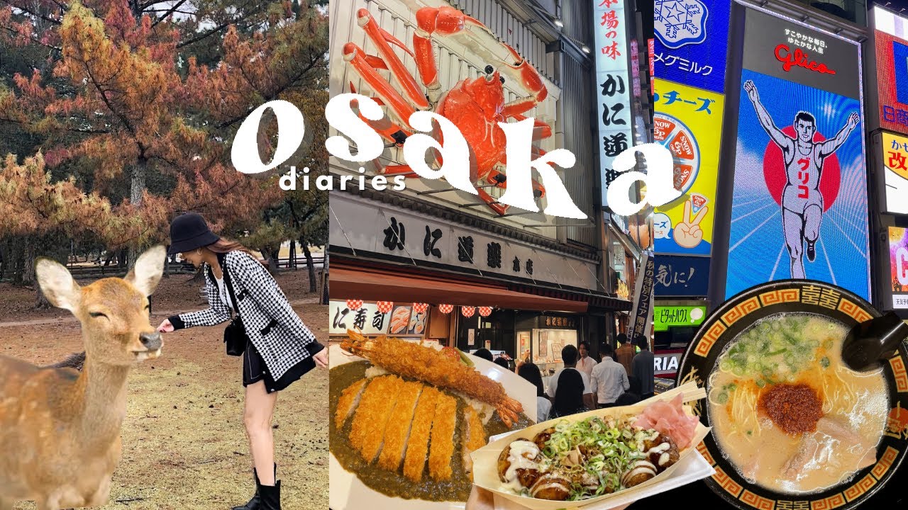 Привет, ОСАКА!👋🏻 *Япония только что открылась* лечу из Сеула в Осаку ✈️🇯🇵