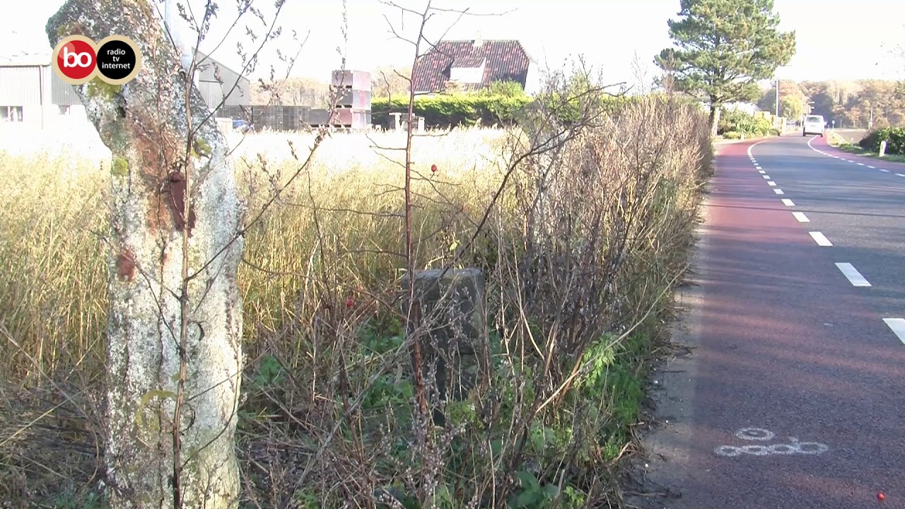 Podium Bollenstreek - Object: Grenspalen