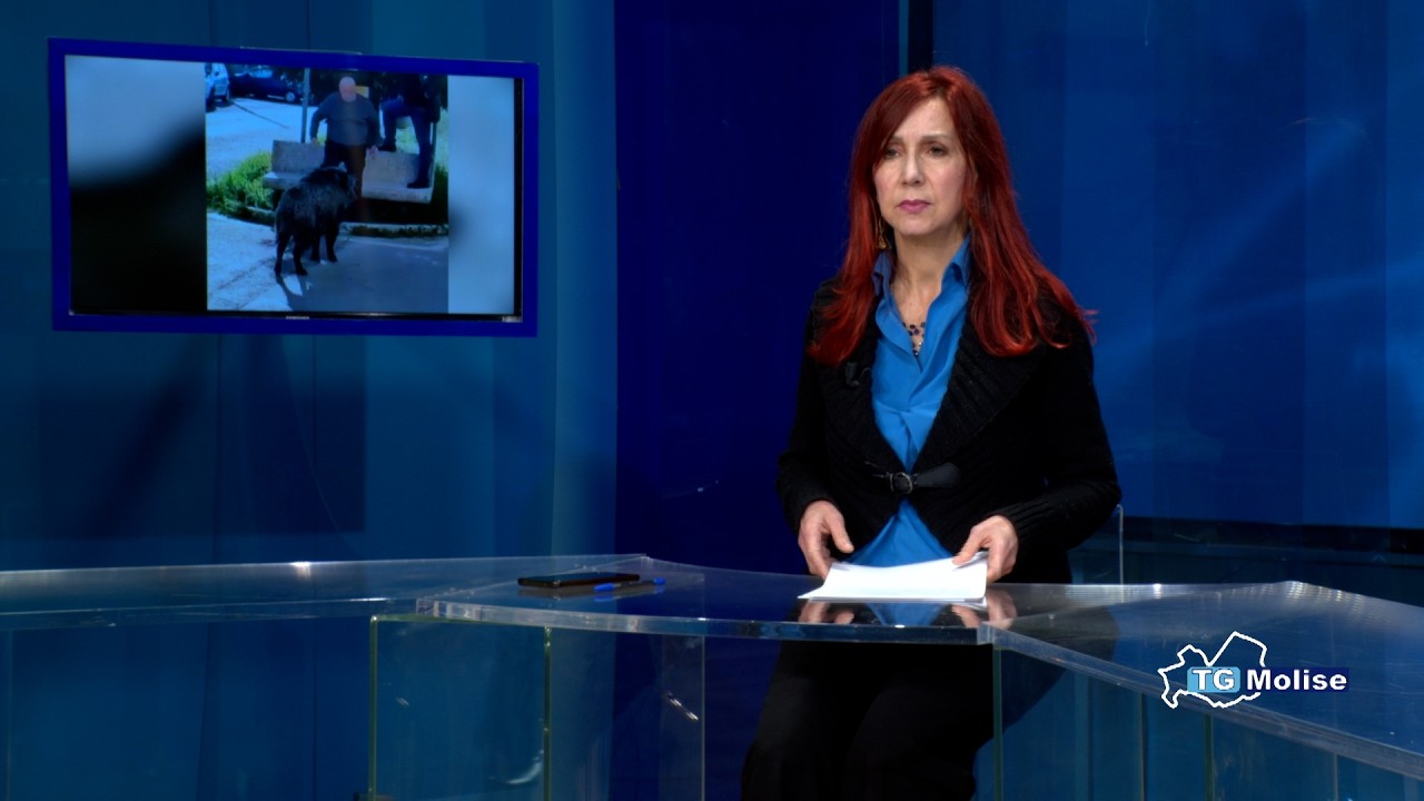 TG Molise delle ore 14.00 del 16/03/2026