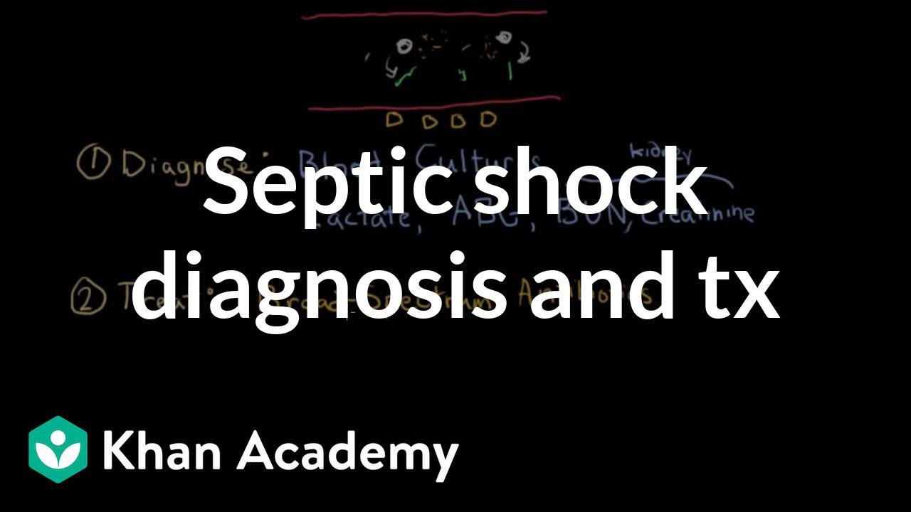 Septic shock: Diagnosis and treatment | Circulatory System and Disease | NCLEX-RN | Khan Academy