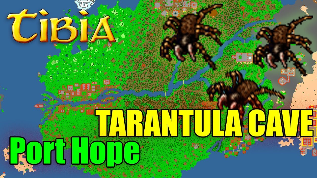 Tarantula Cave - Port Hope - Tiquanda Tarantulas Caves - TIBIA - PORADNIK