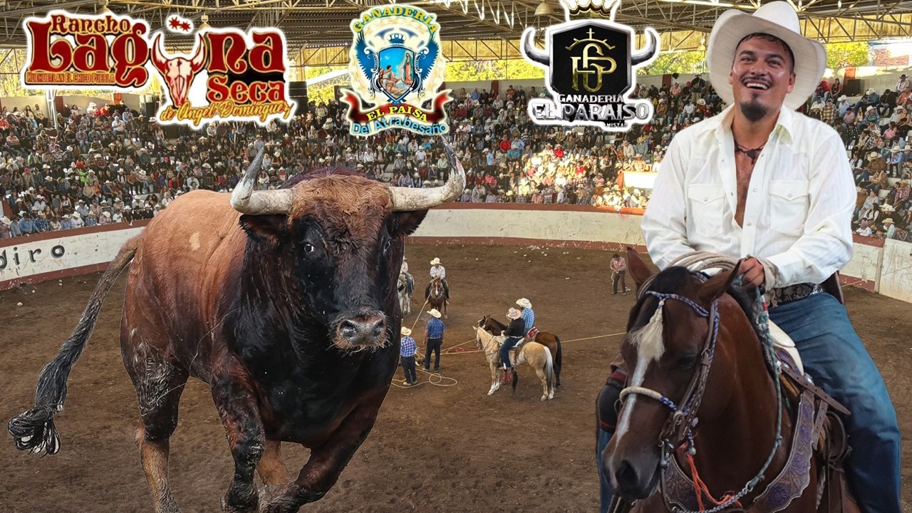 TOROS BRAVOS BUSCA CABALLOS!! HILARIO CABEZAS -JARIPEO PURUANDIRO MICHOACAN 2025 LAGUNA SECA
