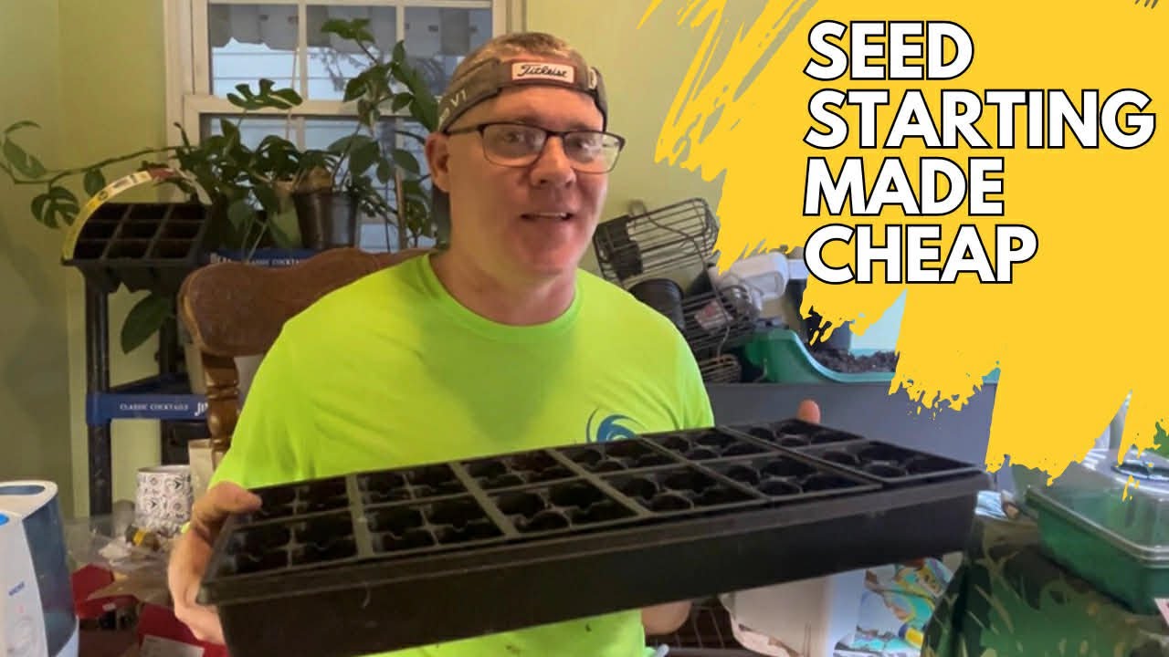 Начните выращивать рассаду прямо сейчас по низкой цене! Сэкономьте деньги и вырастите множество р...