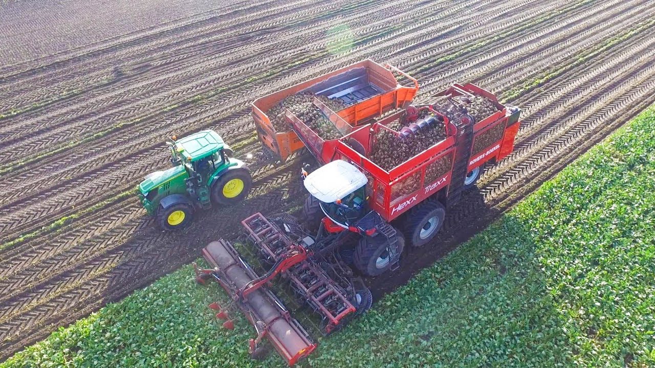 12 rijige bietenrooier - Agrifac HexxTraxx -  Rovers Boekel