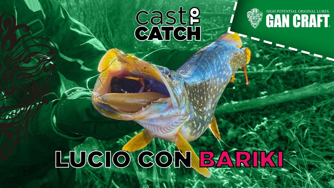 BARIKI 🇯🇵​ | Pescar LUCIOS en el RIO con SHAD de VINILO | 🎯​ CastToCatch