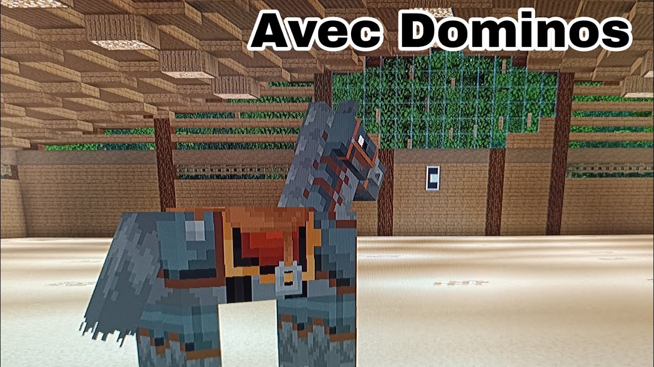 Cours de Saut avec une abonnée (RP MINECRAFT) #1