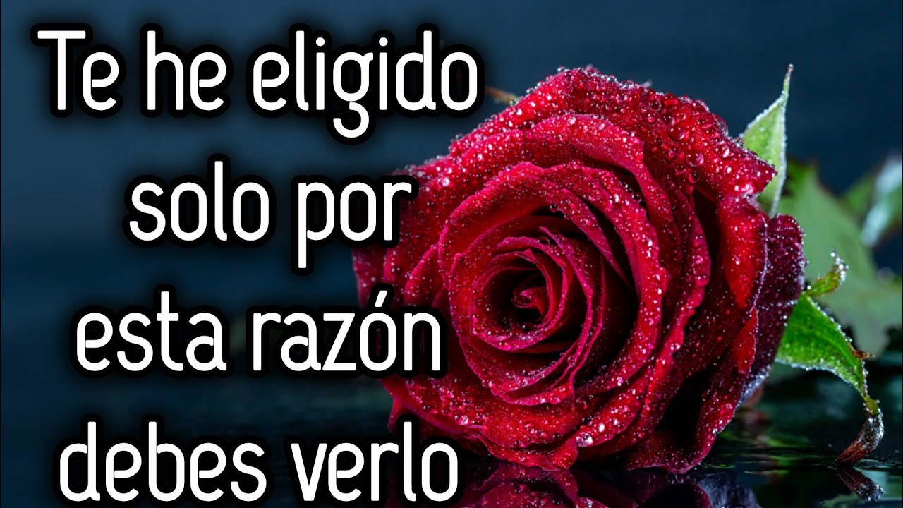 Te he eligido solo por esta razón debes verlo