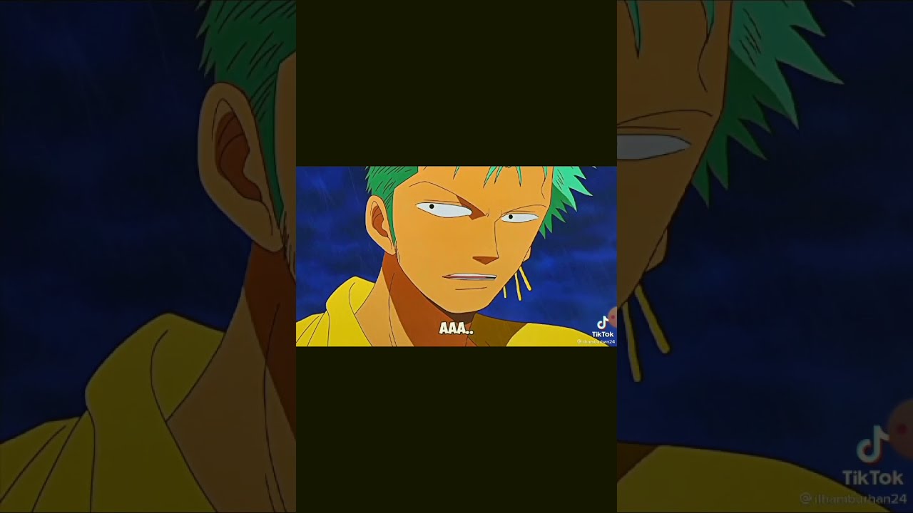 zoro as deku's brother