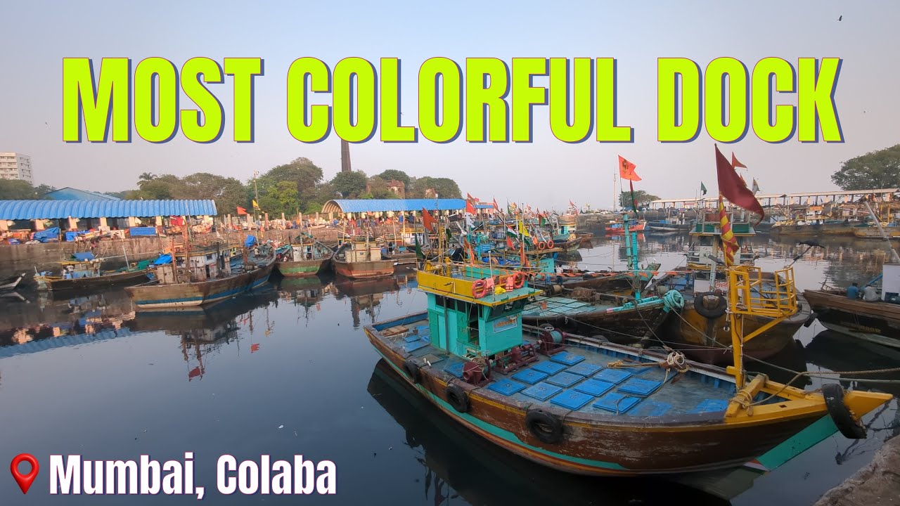 🇮🇳 The Quiet Side of Sassoon Docks: Mumbai's Most Colorful Harbor ⚓️✨