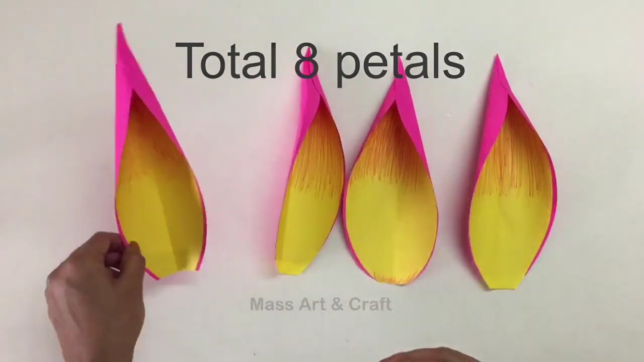 Giant paper flowers for Decoration | DIY giant paper flowers making