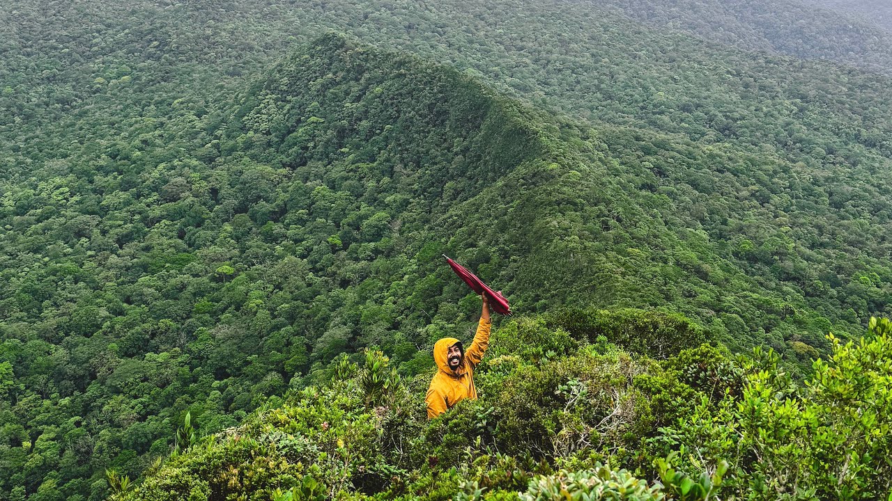 තුන්හිස්ගල මුදුනේ හදපු පළවෙනි කිරි තේ එක | නකල්ස් පාරාදීසයේ තුන්හිස්ගලට PART 2 | KMP Thunhisgala