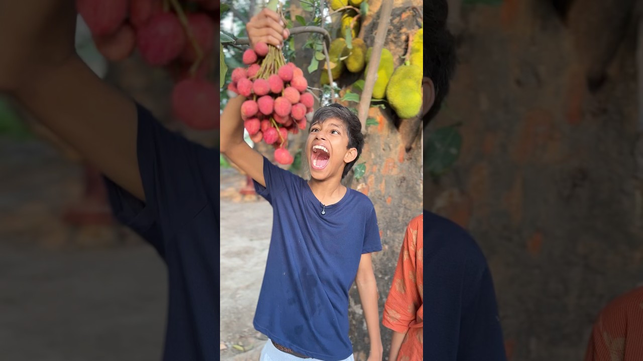 Lichi is more delicious for chiku 😋😱 #shorts #ytshorts #viralvideos #lichi