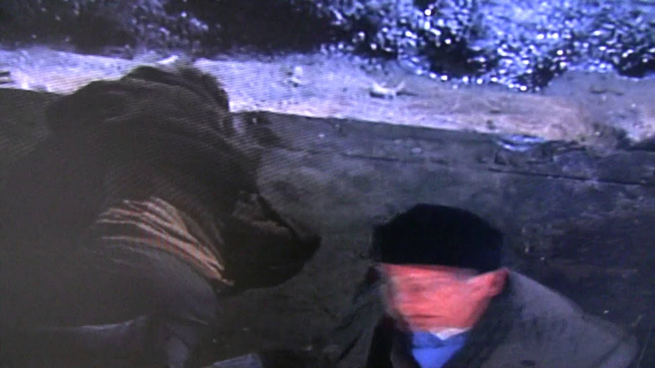 Home Alone 2 Harry and Marv (Harrrry)