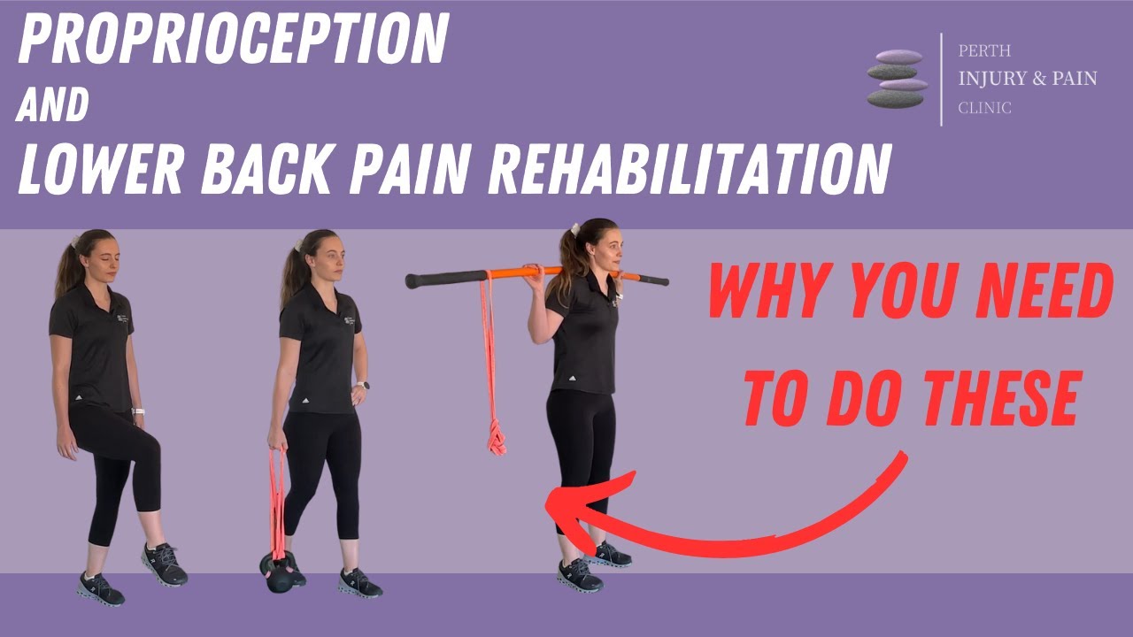 Proprioception and Low Back Pain Rehab