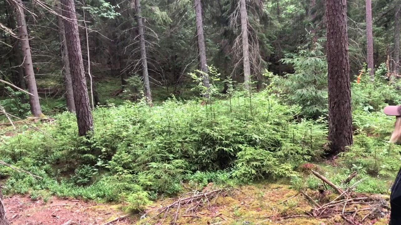 Funktionsbeskrivning Alsterbygdens Torpare