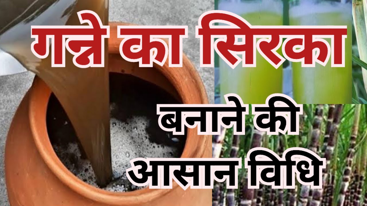 sirka | गन्ने का सिरका बनाने की आसान विधि | गन्ने का सिरका कैसे बनाएं | sirka banane ki vidhi |