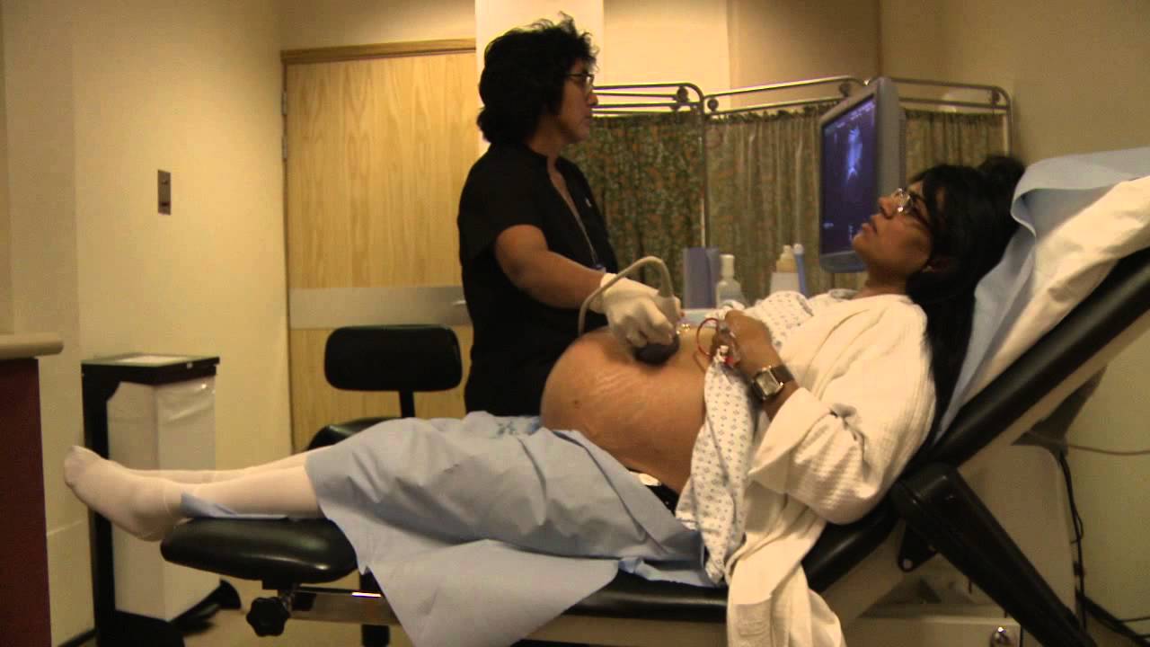 2. Birth: i. Preparing for Birth  (Small Wonders series)