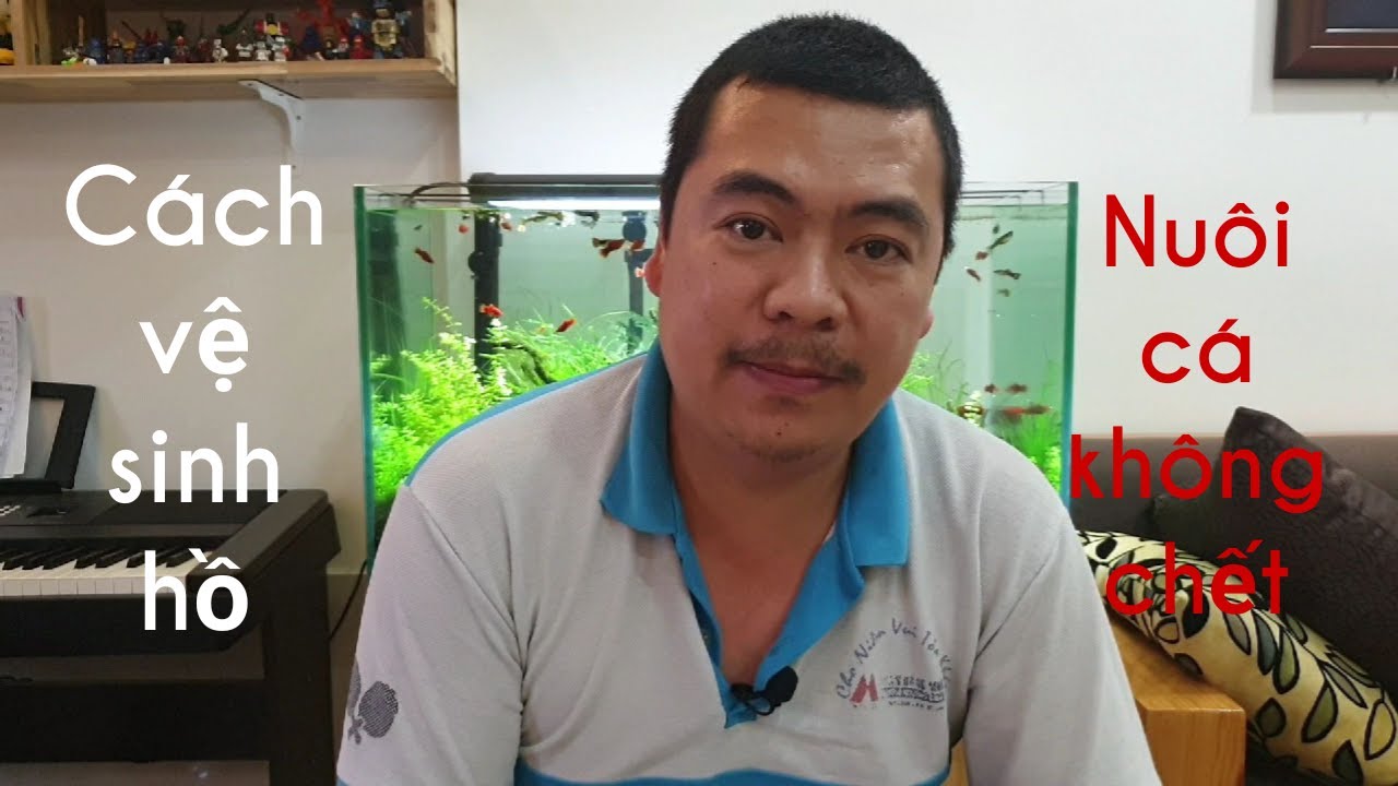 Cách vệ sinh hồ và chăm cá không chết