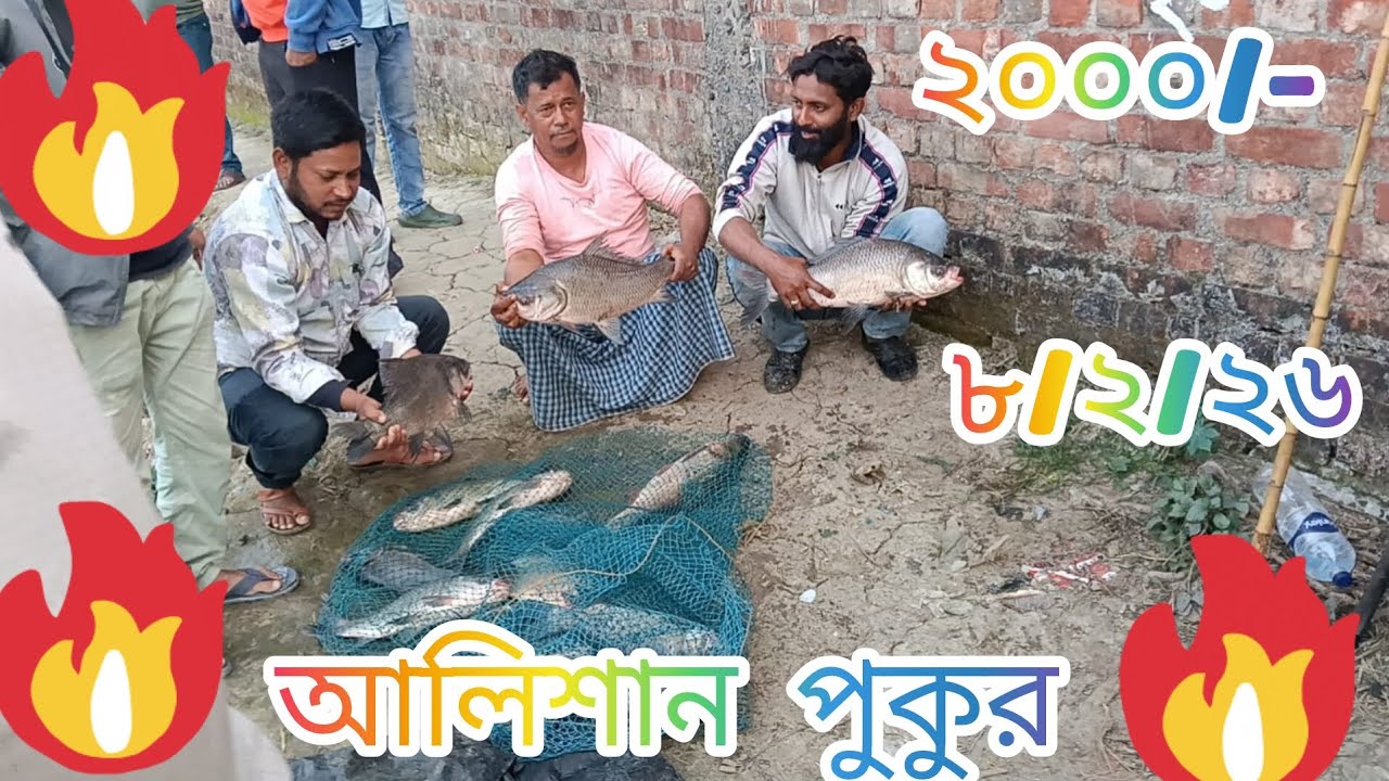 দুর্দান্ত মাছ খাচ্ছে এখনো এই পুকুরে কিন্তু কোথায়#viral#fish#fishingequipment#fishingtips#fishing 