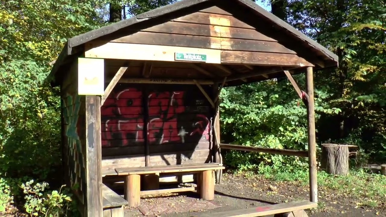 Spaziergang im Steigerwald bei Erfurt