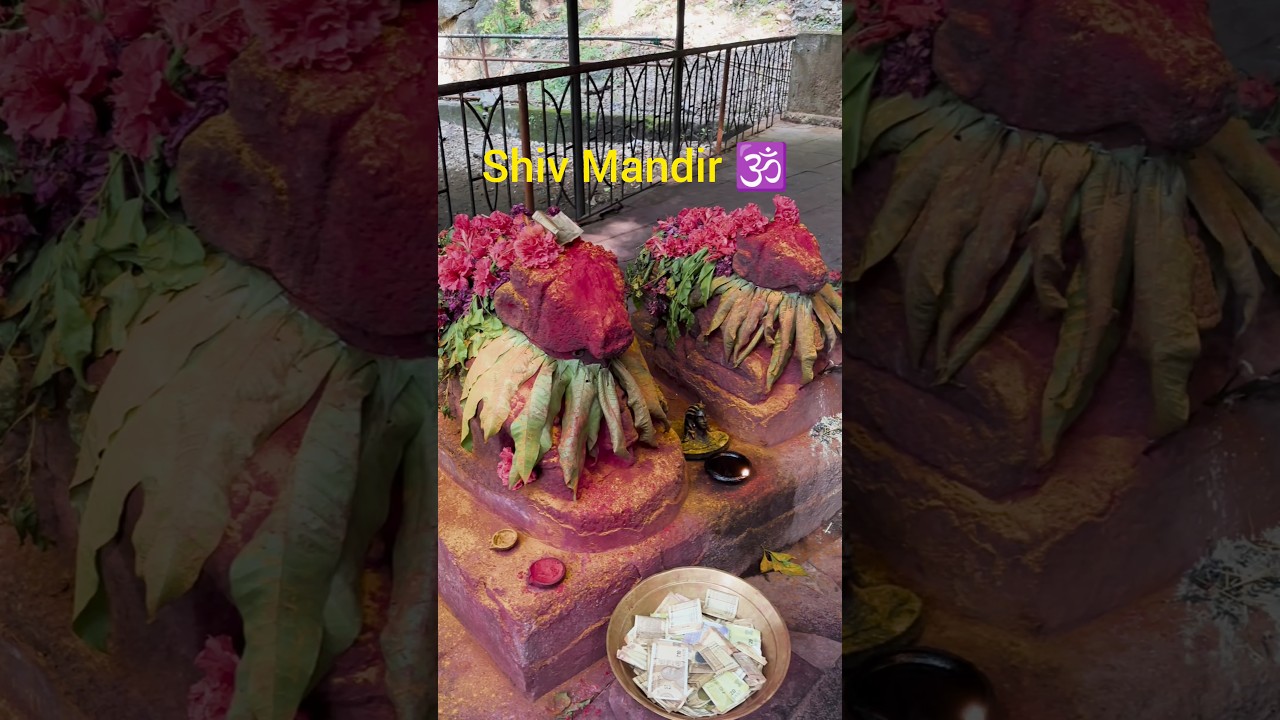 Bora Cave #shivmandir #arakutrip #mahakal #mahadev #shorts