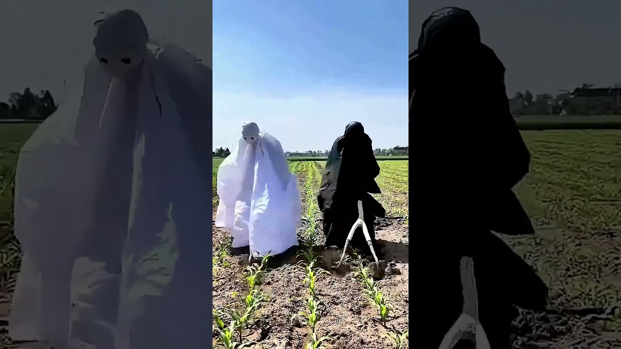 Wear sun-protective clothing to remove weeds