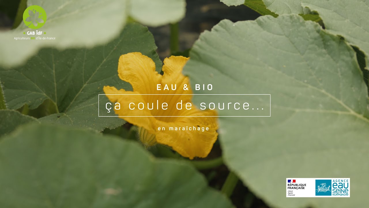Eau & Bio : ça coule de source... en maraîchage (pastille)
