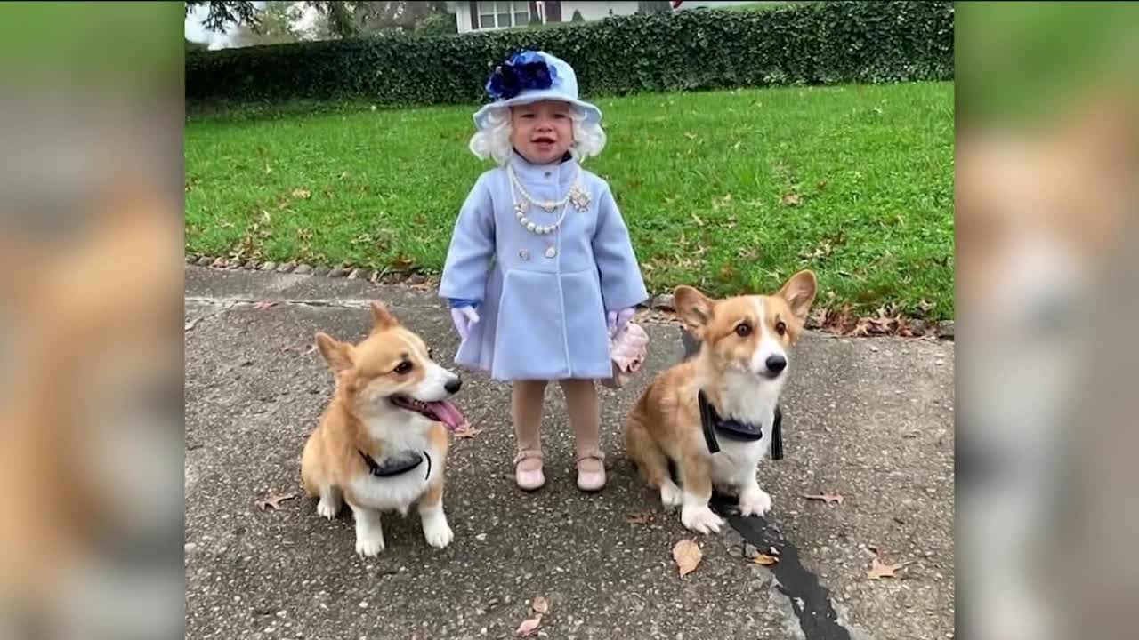 Kentucky toddler dressed as Queen Elizabeth gets royal letter