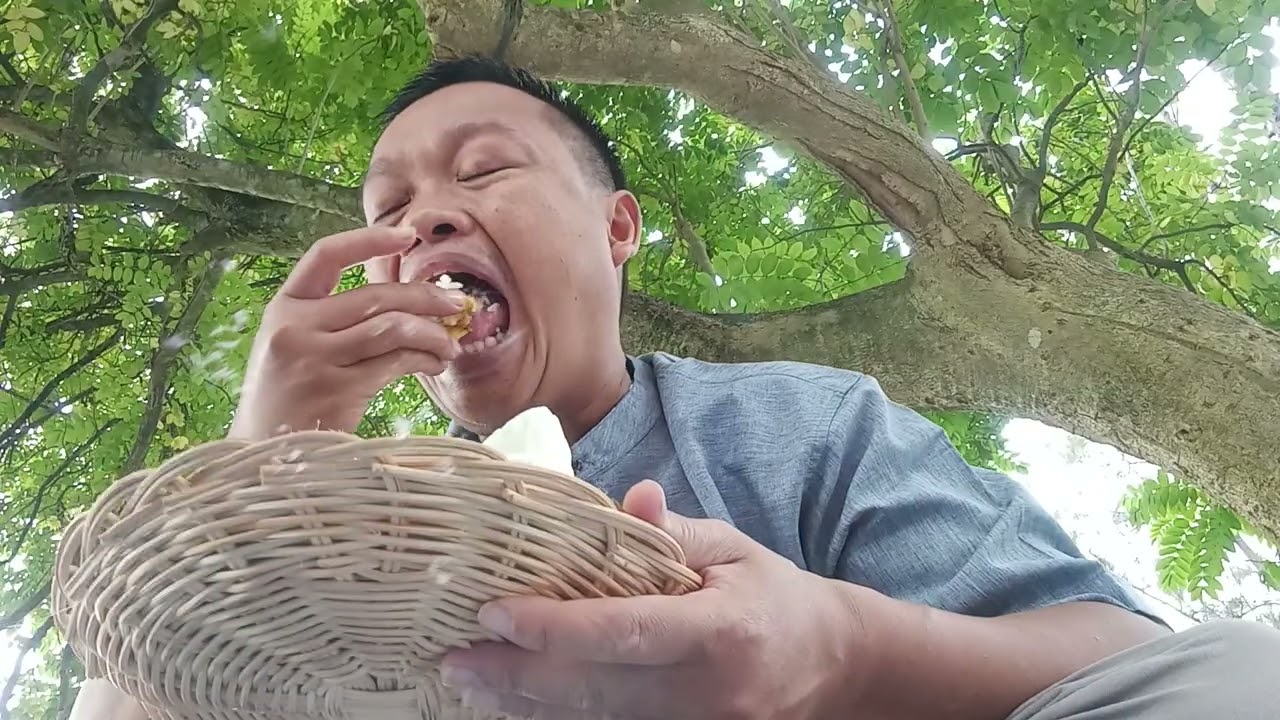 Makan pagi di bawah pohon besar 😱