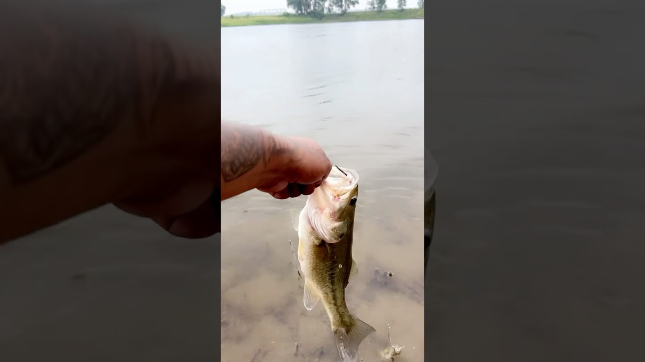Trying a new fishing spot today #bassfishing #pesca #ponds #sandpit #iowa #hoodfishing #bassproshop