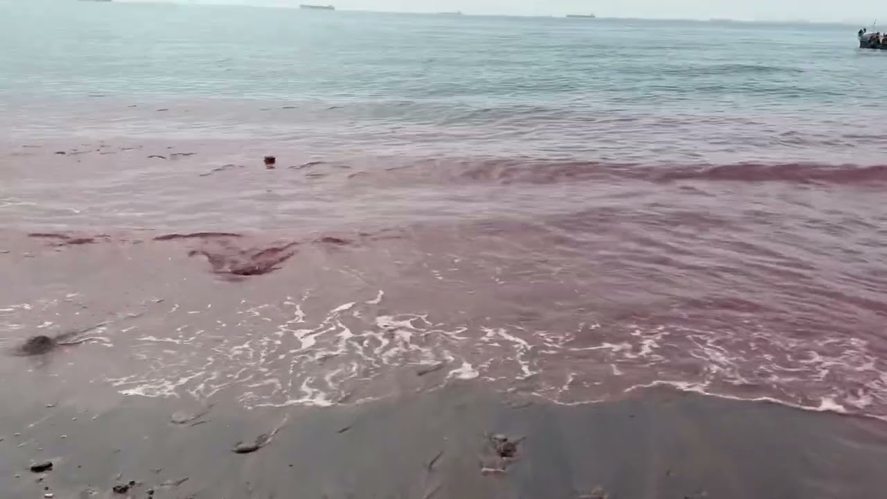 جزيره زيباي هرمز  Hormooz island
