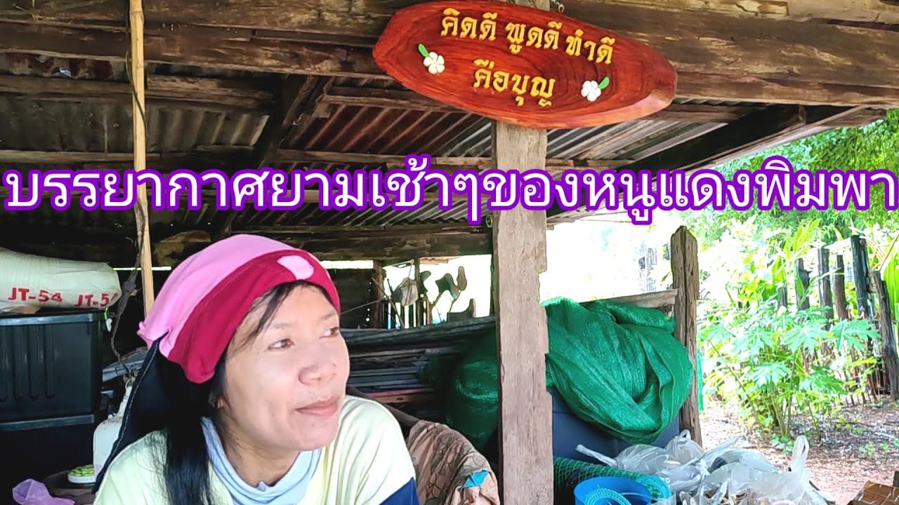 บรรยากาศฝนตกตอนเช้าๆอากาสดีหลายหนูแดงพิมพา