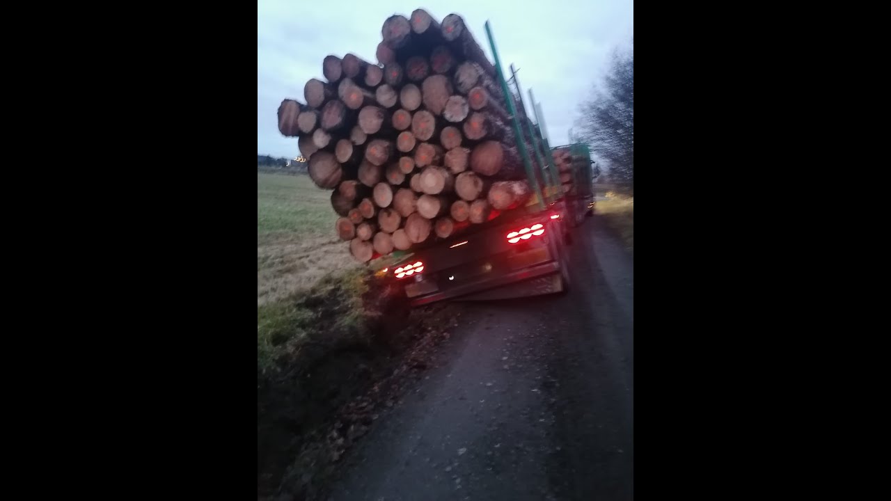 Leśna przygoda#181 Zaś jo...