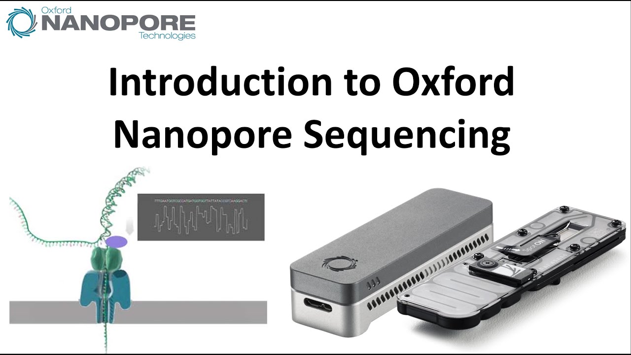 Введение в длинноридное секвенирование Oxford Nanopore minION