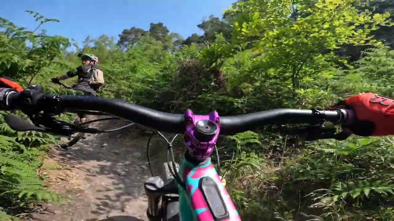 another Surrey hills peaselake mtb
